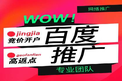专业SEM代运营推广公司成功案例分享